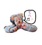 明瞭簡潔（個別スタンプ：4）