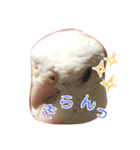 明瞭簡潔（個別スタンプ：8）