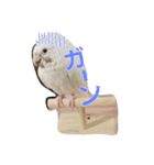明瞭簡潔（個別スタンプ：10）