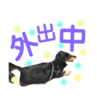 ポポとうめの日常1（個別スタンプ：1）