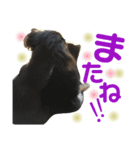 ポポとうめの日常1（個別スタンプ：6）