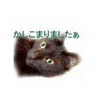 わかる人は絶対に使う(ボーイスカウト編)（個別スタンプ：2）