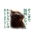 わかる人は絶対に使う(ボーイスカウト編)（個別スタンプ：6）