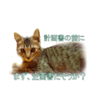 わかる人は絶対に使う(ボーイスカウト編)（個別スタンプ：16）