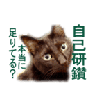わかる人は絶対に使う(ボーイスカウト編)（個別スタンプ：17）