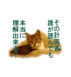 わかる人は絶対に使う(ボーイスカウト編)（個別スタンプ：23）