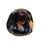 かんちゃん＆ はなちゃんシリーズ（個別スタンプ：37）