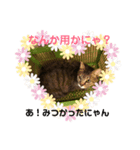 うめたんの一言2（個別スタンプ：1）