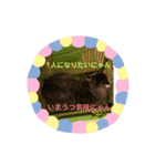 うめたんの一言2（個別スタンプ：2）