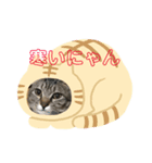 うめたんの一言2（個別スタンプ：3）