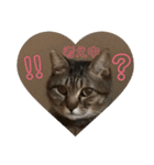 うめたんの一言2（個別スタンプ：4）