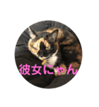 うめたんの一言2（個別スタンプ：8）