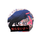 ohe！p-stanp7（個別スタンプ：5）