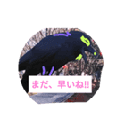 ohe！p-stanp7（個別スタンプ：6）