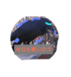 ohe！p-stanp7（個別スタンプ：7）