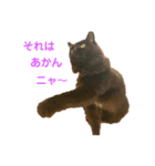 次女、三女（個別スタンプ：5）
