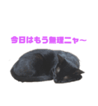 次女、三女（個別スタンプ：8）
