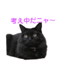 次女、三女（個別スタンプ：9）