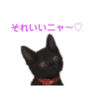 次女、三女（個別スタンプ：10）