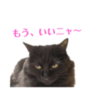 次女、三女（個別スタンプ：11）