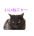 次女、三女（個別スタンプ：12）