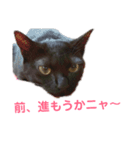次女、三女（個別スタンプ：13）