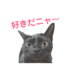 次女、三女（個別スタンプ：16）