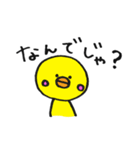 ひよこ親父（個別スタンプ：5）