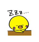 ひよこ親父（個別スタンプ：16）