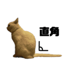 佐藤家のねこといぬ①（個別スタンプ：3）