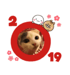 癒しニャンコブブちゃん（個別スタンプ：15）