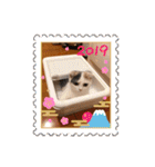 癒しニャンコブブちゃん（個別スタンプ：16）
