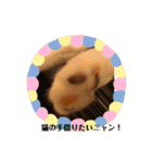 癒しニャンコブブちゃん（個別スタンプ：18）