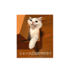癒しニャンコブブちゃん（個別スタンプ：19）