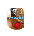 癒しニャンコブブちゃん（個別スタンプ：28）