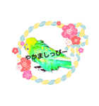 お喋りインコピッピ（個別スタンプ：1）