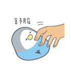 女の子のオウム(冬バージョン)（個別スタンプ：10）