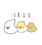 女の子のオウム(冬バージョン)（個別スタンプ：18）