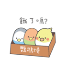 女の子のオウム(冬バージョン)（個別スタンプ：21）