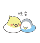 女の子のオウム(冬バージョン)（個別スタンプ：27）