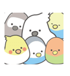 女の子のオウム(冬バージョン)（個別スタンプ：29）