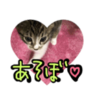 ちーくんのスタンプ❤️（個別スタンプ：5）