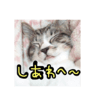 ちーくんのスタンプ❤️（個別スタンプ：6）