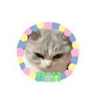 Popo -Chan（個別スタンプ：1）