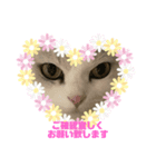 Popo -Chan（個別スタンプ：2）