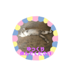 Popo -Chan（個別スタンプ：3）