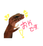 結構使えるスタンプだお！（個別スタンプ：9）