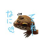 結構使えるスタンプだお！（個別スタンプ：11）