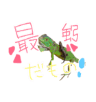 結構使えるスタンプだお！（個別スタンプ：14）