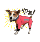 ぬのかわ犬猫病院スタンプ:2（個別スタンプ：1）